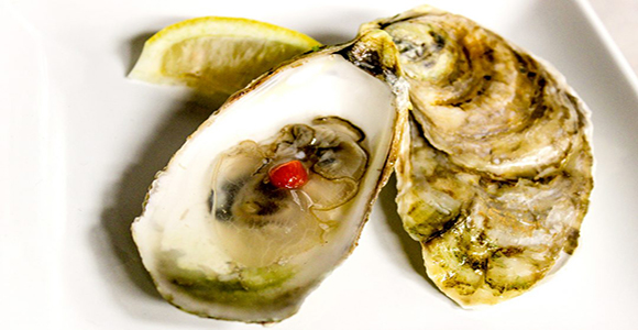 Chincoteague Salt Oysters