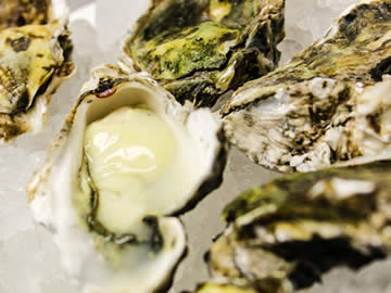 Coastal Seafood | Minneapolis & St Paul, Minnesota | West Coast Oysters Products